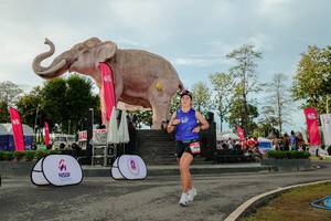 BIB: 
                            <button type="button" onclick="openModal(26529199)" class="btn btn-primary btn-sm float-right btn-popup" data-toggle="modal" data-target=".modal-high-quality">
                        <i class="fas fa-shopping-cart"></i> Add to Cart
                    </button>
                                            <button type="button" onclick="isThisMe(26529199, true)" class="btn btn-success btn-sm float-right btn-popup btn-isme hidden" data-toggle="tooltip" data-placement="bottom" title="นี่คือรูปของคุณใช่ไหม คลิกที่นี่เพื่อเอาเข้าอัลบั้ม">
                        <i class="fas fa-plus"></i> Add to album
                    </button>
                    <button type="button" onclick="isThisMe(26529199, false)" class="btn btn-warning btn-sm float-right btn-popup btn-isnotme hidden">
                        <i class="fas fa-ban"></i> Remove from album
                    </button>